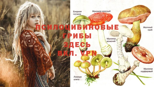 герыч Лихославль