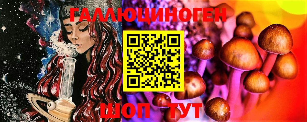 Шебекино  Галлюциногенные грибы Psilocybe  Вход с VPN  Галлюциногенные грибы мицелий 