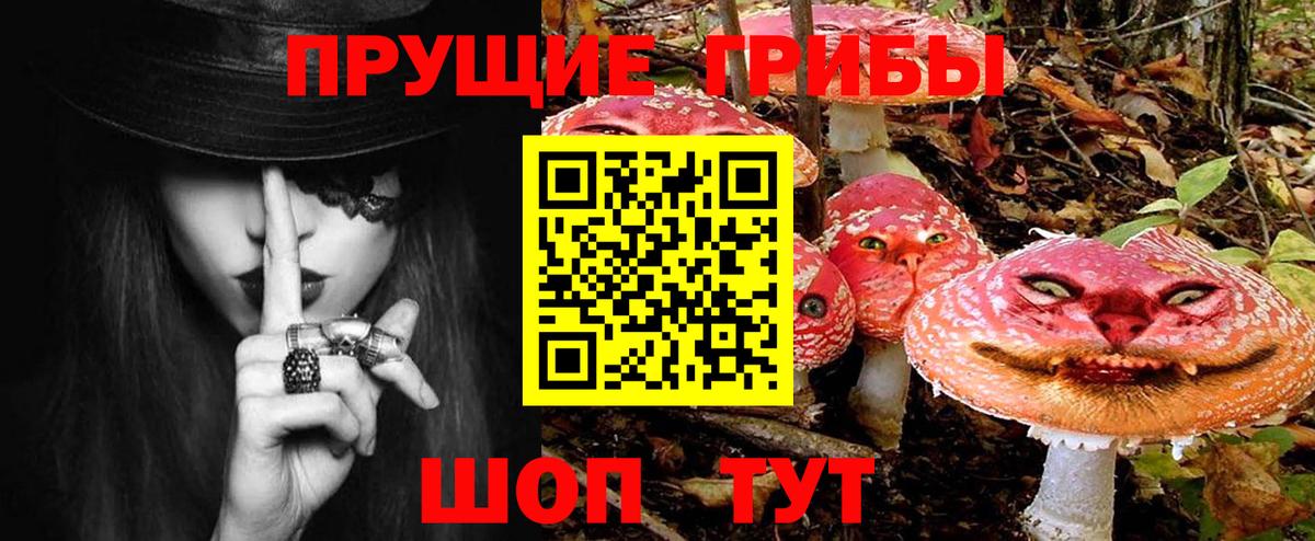 Галлюциногенные грибы прущие грибы Шебекино