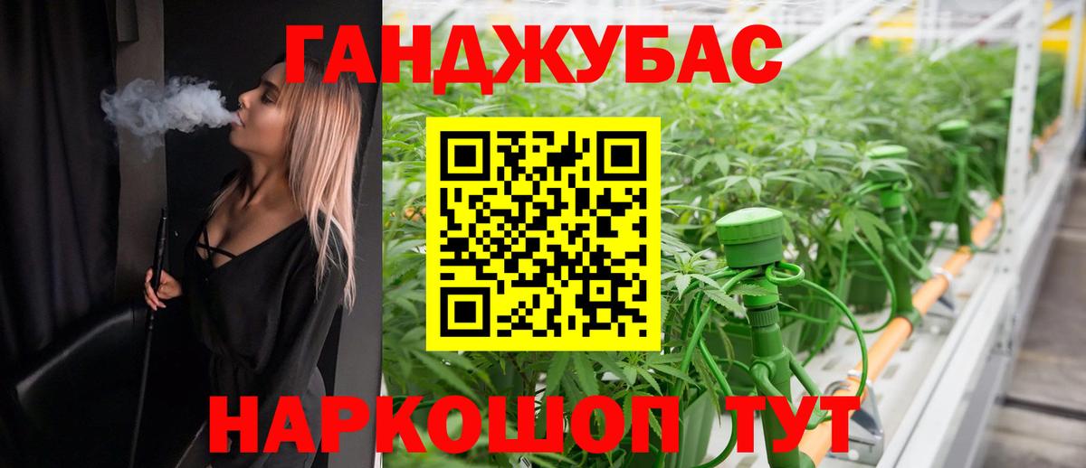 Шебекино  Канабис сатива  Вход с VPN  МАРИХУАНА план  Конопля планчик 
